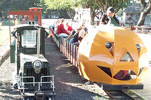 Flower Farmer Boo Train and Regular Train