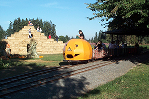 Flower Farmer Boo Train and Hay Tower