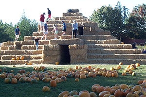 Flower Farmer Hay Tower and Pumpkins